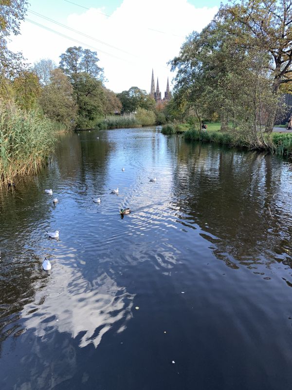 Lichfield Cathedral and River Trent